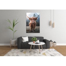 Beautiful horned Highland Cattle enjoying the Sunrise on a Frozen Meadow in the Italian Dolomites Printed Canvas
