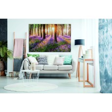 Beautiful woodland bluebell forest in spring Printed Canvas
