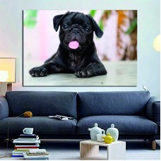 Black Puppy Pug Dog Printed Canvas