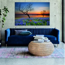 Bluebell Field near a Lake in the evening Printed Canvas