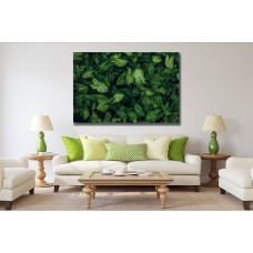 Green leaf texture Printed Canvas