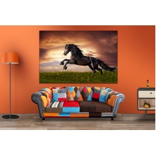 Horse Gallop Printed Canvas