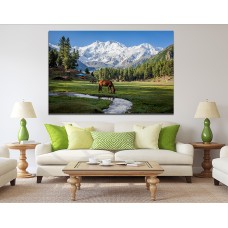 Horse Pasture With A Mountain View in Fairy Meadows, Pakistan Printed Canvas
