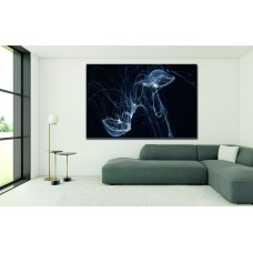 Jelly Fish in Dark Water Printed Canvas