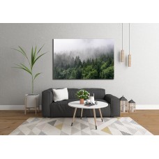 Tops of Tall Green Trees with Dense Fog Rolling In Over Lush Wilderness Printed Canvas