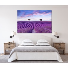 Lavender Field Scene Printed Canvas
