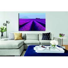 Lavender Field with Mountain Range Printed Canvas