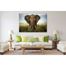 Lone Elephant Printed Canvas