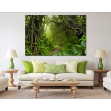 Lush Green Forest Path Printed Canvas