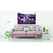 Pink Flower Field Printed Canvas