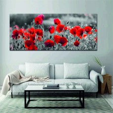 Red Poppies, Black and White Printed Canvas