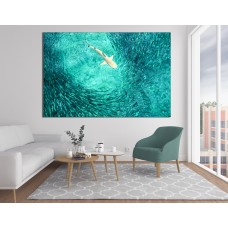 Prowling Shark Printed Canvas
