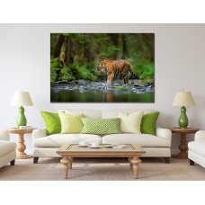 Tiger walking in Water Printed Canvas