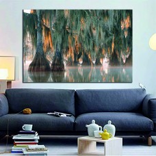 Trees of bald cypress with hanging Spanish moss in the first rays of the sun. Louisiana, Lake Martin Printed Canvas