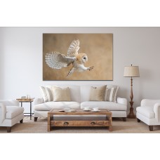 White Owl in Flight Printed Canvas