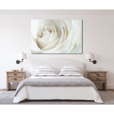 White Rose Printed Canvas
