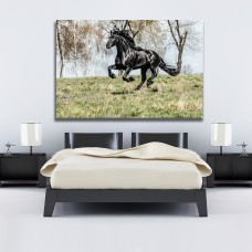 Black Horse in a Field Printed Canvas
