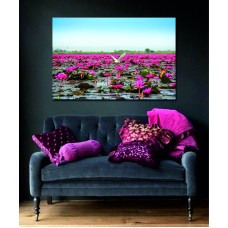 Red Lotus in a Lake in the morning with fog blurred background, Thailand Printed Canvas