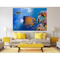 Tropical Coral Fish under Sea Printed Canvas