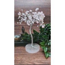 Rose Quartz Crystal Tree Blossoms with a Beautiful Selenite Crystal base