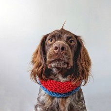 Dog Snood (Two Tone) - 8 colours available