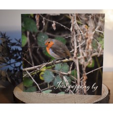 Wildlife Card - Robin 3