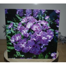 Floral Greeting Card