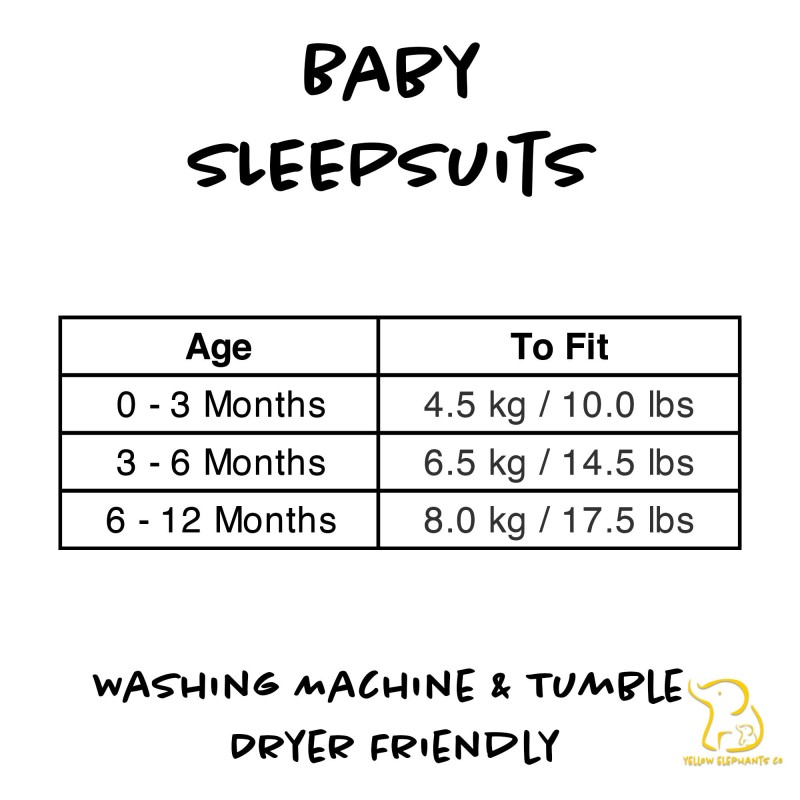 Babysaurus Baby Sleepsuit