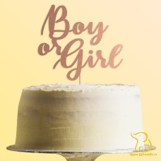 Boy or Girl Cake Topper, 23 colours available, Gender Reveal, Baby Shower