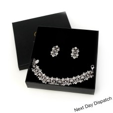 Fillergry Bracelet and Earrings Set