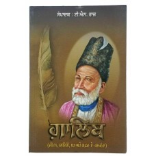 ਗਾਲਿਬ Mirza Galib Life Poetry and his Journey in Calcutta Punjabi Book T N Raaj