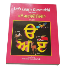 Let's Learn Gurmukhi Writing Punjabi Textbook Sentence Making 3rd Book ਕੈਦਾ H12