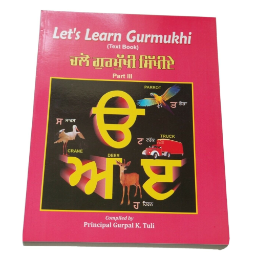 Let's Learn Gurmukhi Writing Punjabi Textbook Sentence Making 3rd Book ਕੈਦਾ H12