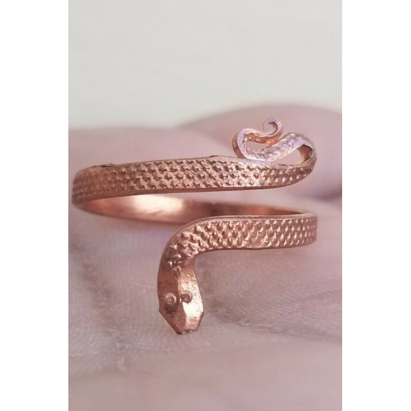 Snake Ring in Silver