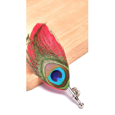 Colourful real feather brooch stunning silver plated vintage look lapel pin gg67
