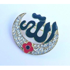 Onlinesikhstore stunning diamonte gold plated war remembrance day poppy allah muslim brooch pin