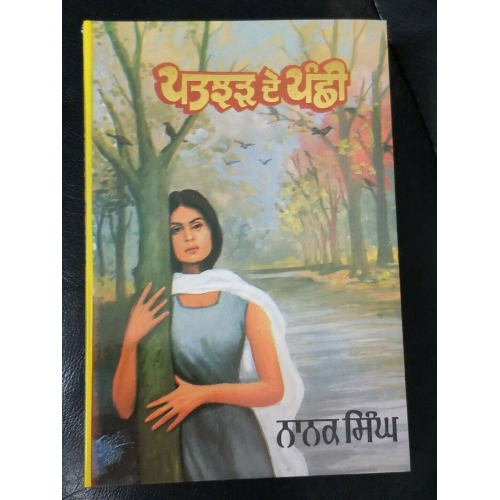 Patjhar de panchhi novel nanak singh indian punjabi reading literature book b10