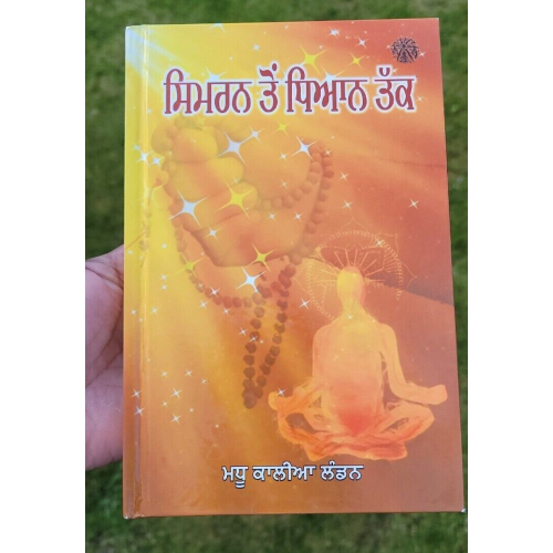 Aadh Sikh Te Aadh Sakhia Principal Satbir Singh Punjabi Book Panjabi Story B17