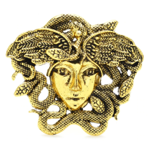 Gold or silver plated snakes head medusa lady celebrity brooch broach pin jjj29