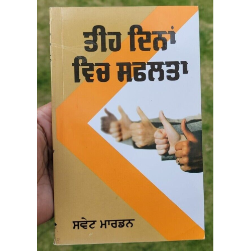 Mein chinta te jitt kiven paaey dale carnegie self improvement book punjabi b65