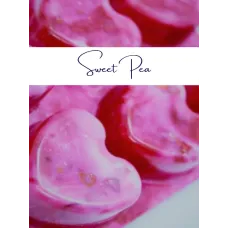 Clamshell- Sweet Pea