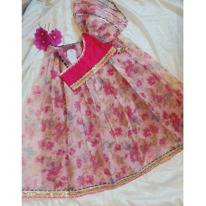 Varahai Organza Lehenga