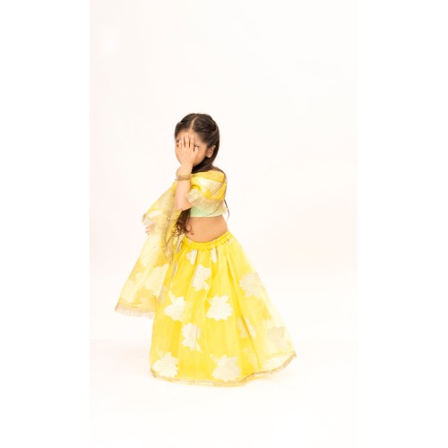 Yellow Organza Lehnga Set with Green Top