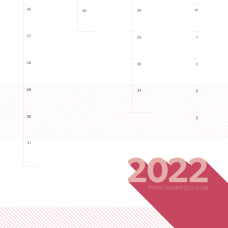 Zoom 2022 Wall Planner - Pink