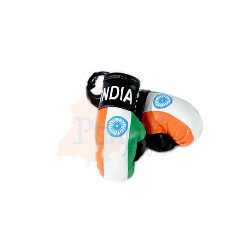 India Flag Boxing Gloves