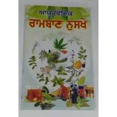 Desi ramban nuskhay full book indian tips cure for various diseases punjabi a11
