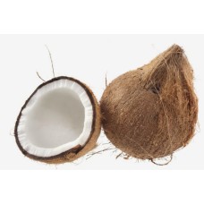 Coconut With Tail 1 Piece