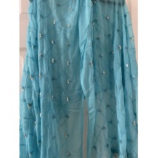 Chiffon duppatta 1455